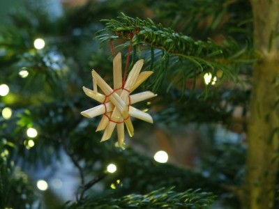 Przygotuj święta z Etnocentrum 22.12.2024-DSCF4264.jpg