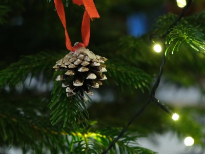 Przygotuj święta z Etnocentrum 22.12.2024-DSCF4265.jpg