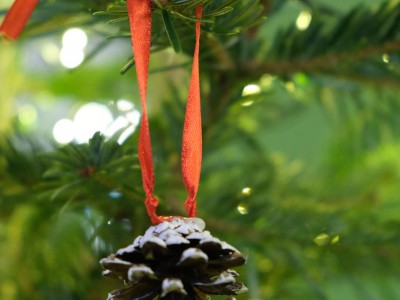 Przygotuj święta z Etnocentrum 22.12.2024-DSCF4273.jpg