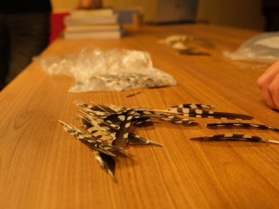 Warsztaty ornitologiczne – czerwiec – lipiec 2022-20.jpg