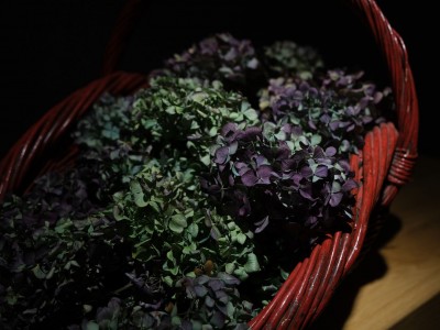 Wernisaż wystawy "Malarstwo Ikonowe" 04.11.2022-021.jpg