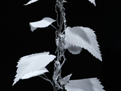 Wernisaż wystawy - "NATURA RZECZY" Moniki Smyły 10.11.2023-023.jpg